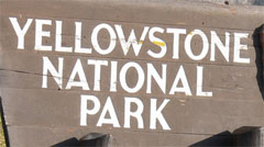 Yellow Stone National Park