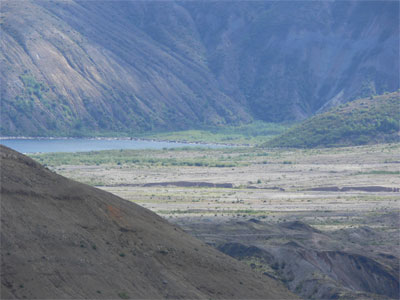 Lake filled with dead trees from landslide 