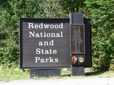 Highway 101 is called the Redwood Hwy, north of Fort Bragg