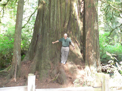 I look so insignificant beside these giants 