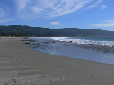 Miles of surf pounded beach 