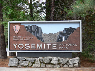 Welcome to Yosemite Redwood park 