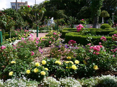 Huge gardens surrounded the house, all with bright flowers