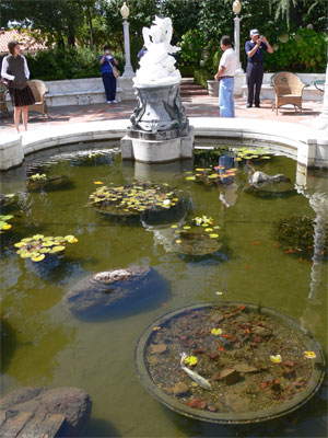 Fish pond