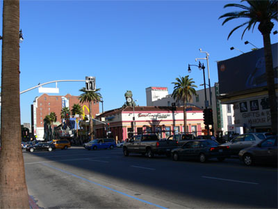 Dinasaur on the roof 