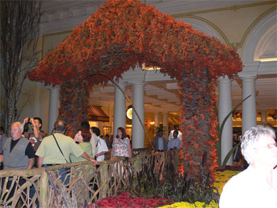 A solid hoop of water forms an archway over path. It is not inside a tube but simply freeflowing through the air. People were nervous to walk underneath of it. 
