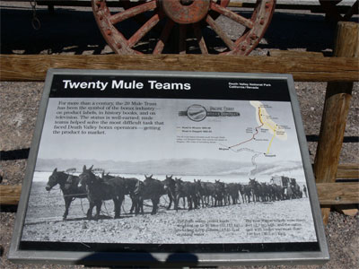 Twenty Mule teams pulled loads weighing up to 36 tons, including 1200 gallons of drinking water. 
